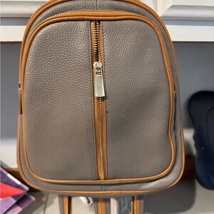 Valentina Gray Crossbody Bag with Tan Trim